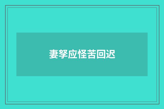 妻孥应怪苦回迟