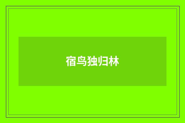 宿鸟独归林