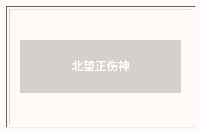 北望正伤神