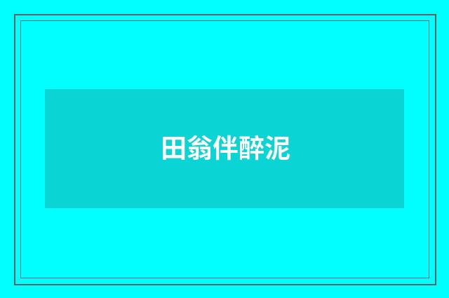 田翁伴醉泥