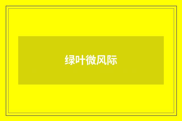 绿叶微风际