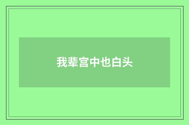 我辈宫中也白头