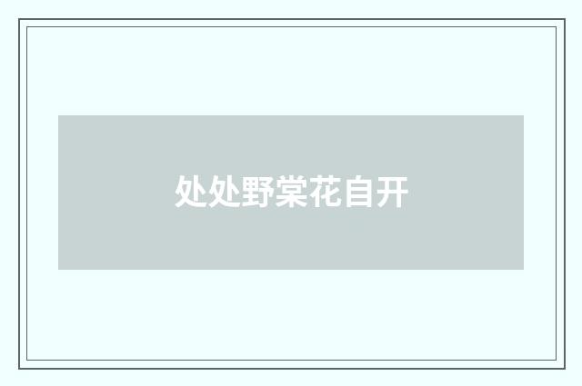 处处野棠花自开