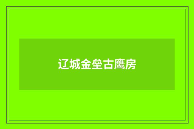 辽城金垒古鹰房