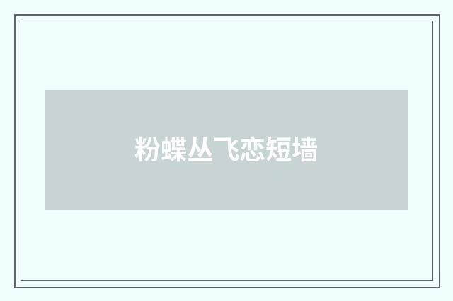 粉蝶丛飞恋短墙