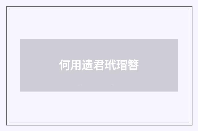 何用遗君玳瑁簪