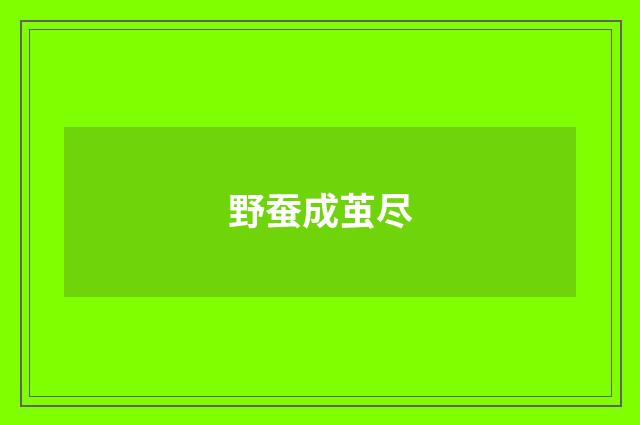 野蚕成茧尽
