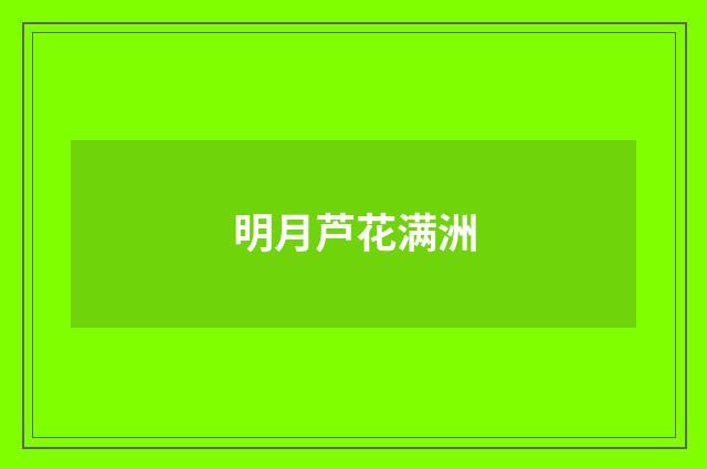 明月芦花满洲