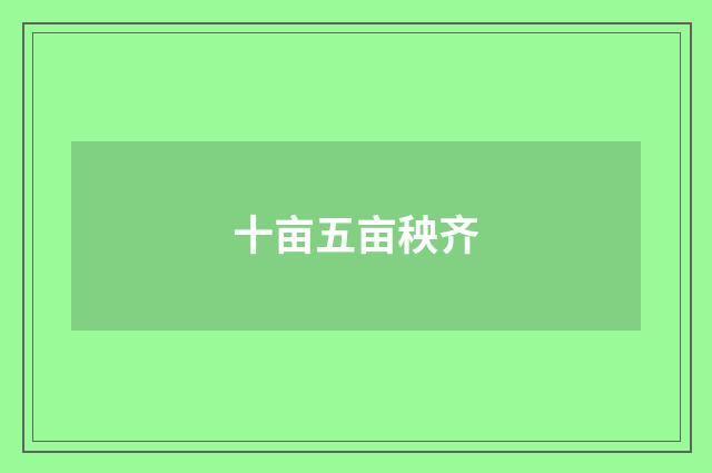 十亩五亩秧齐