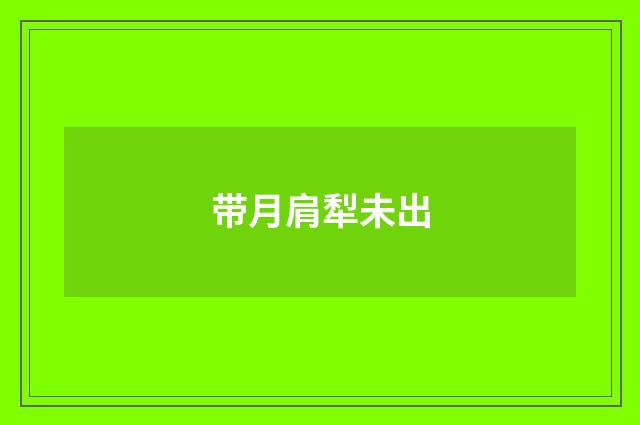带月肩犁未出