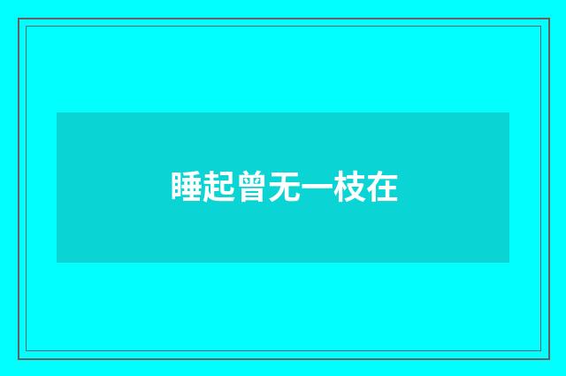 睡起曾无一枝在