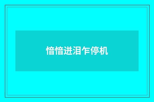 愔愔迸泪乍停机