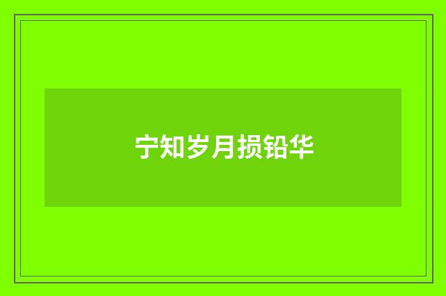 宁知岁月损铅华