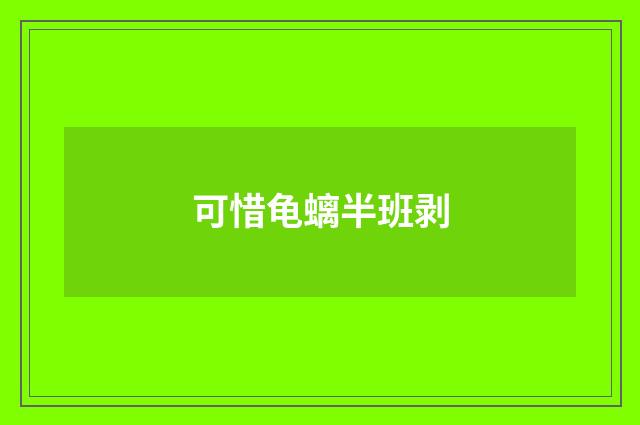 可惜龟螭半班剥