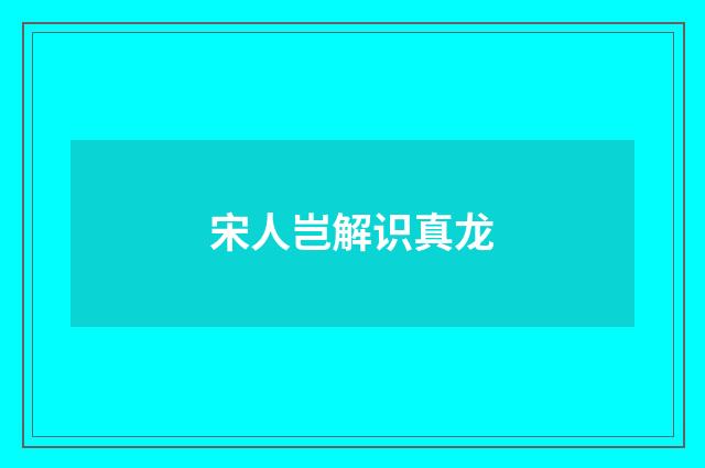 宋人岂解识真龙