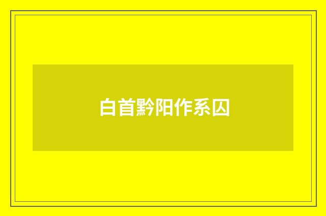 白首黔阳作系囚