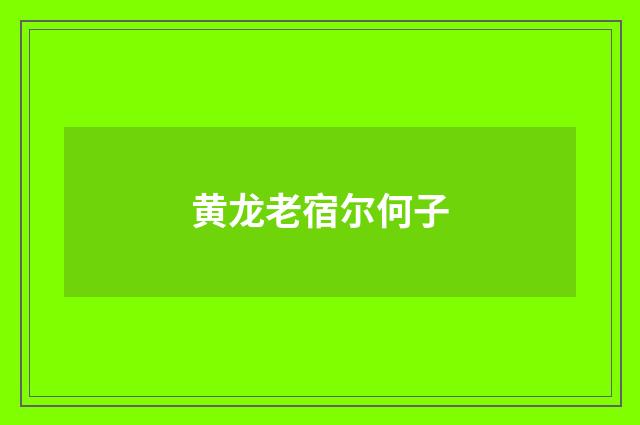 黄龙老宿尔何子