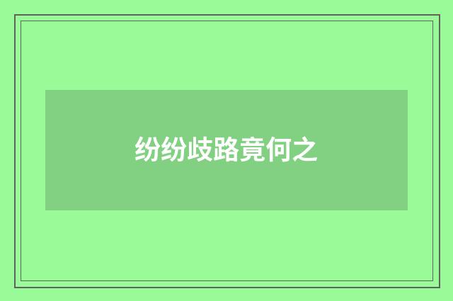 纷纷歧路竟何之