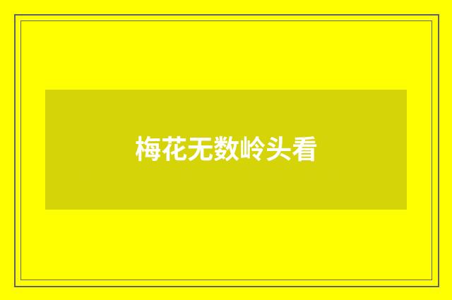 梅花无数岭头看