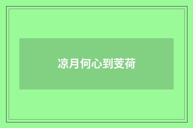 凉月何心到芰荷