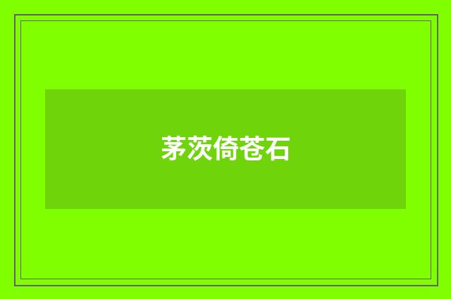 茅茨倚苍石