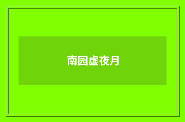 南园虚夜月