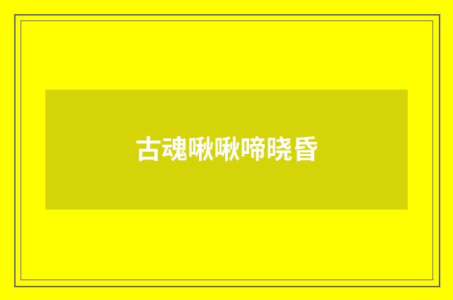 古魂啾啾啼晓昏