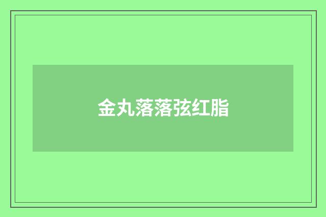 金丸落落弦红脂