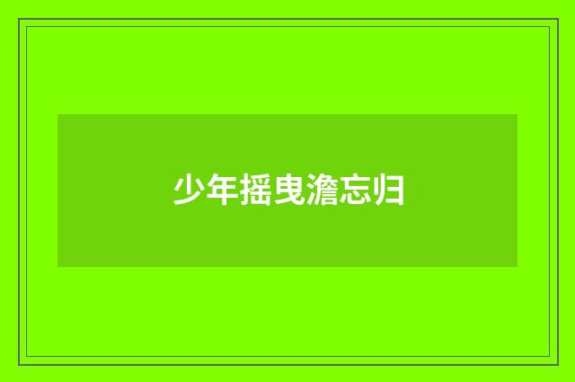 少年摇曳澹忘归