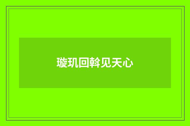 璇玑回斡见天心