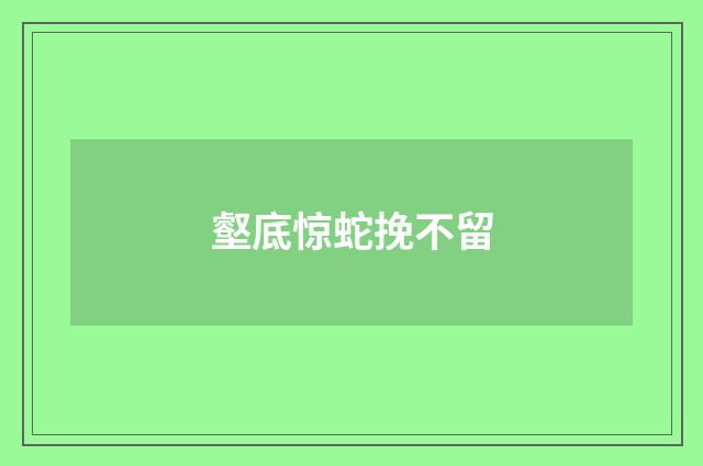 壑底惊蛇挽不留