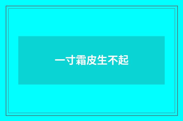一寸霜皮生不起
