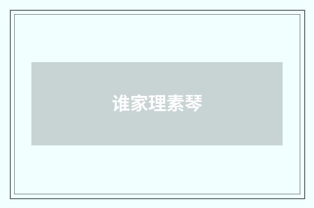 谁家理素琴