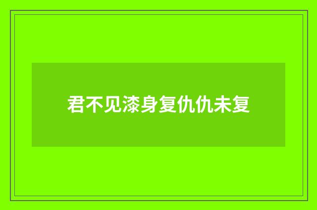 君不见漆身复仇仇未复