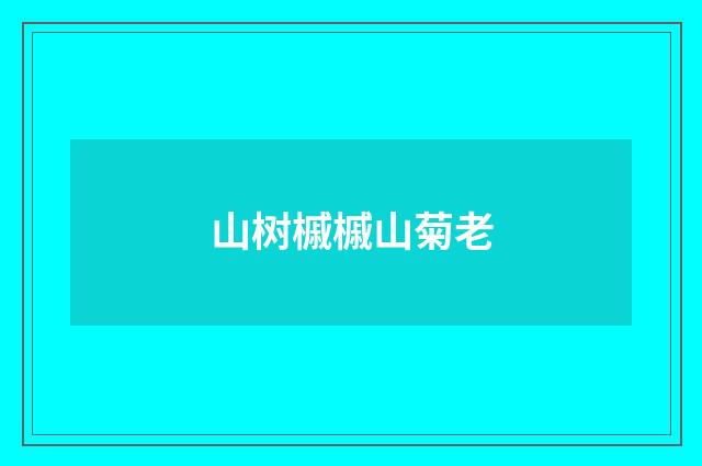 山树槭槭山菊老