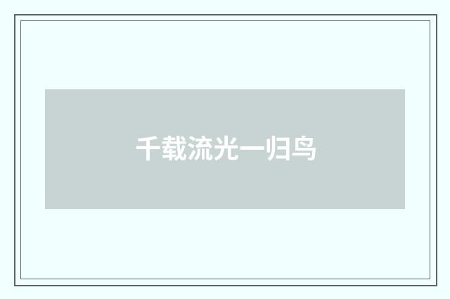 千载流光一归鸟