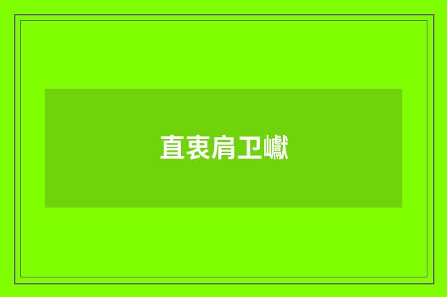 直衷肩卫巘