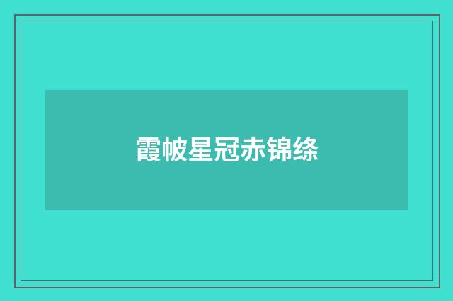 霞帔星冠赤锦绦