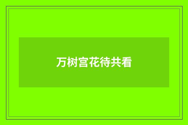 万树宫花待共看