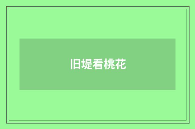 旧堤看桃花