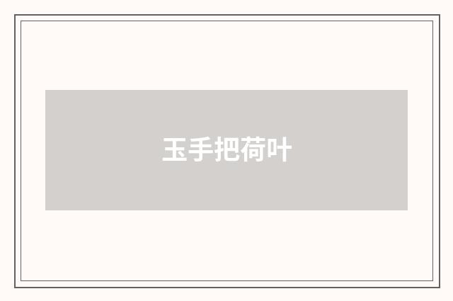 玉手把荷叶