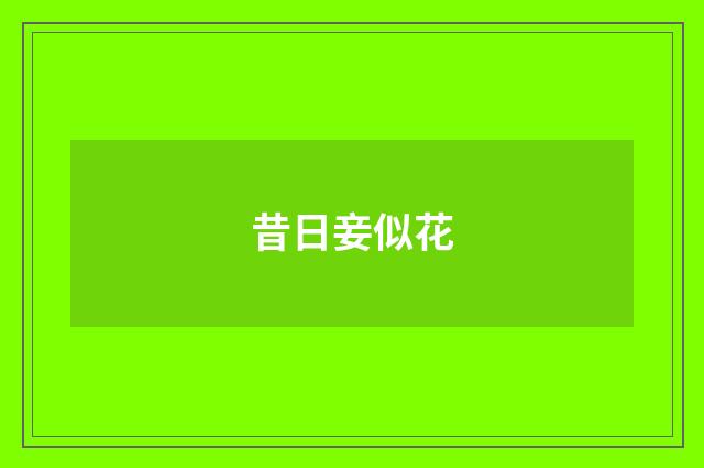 昔日妾似花