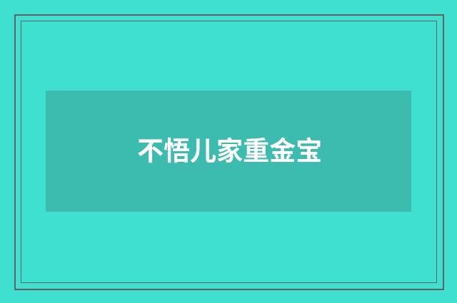不悟儿家重金宝