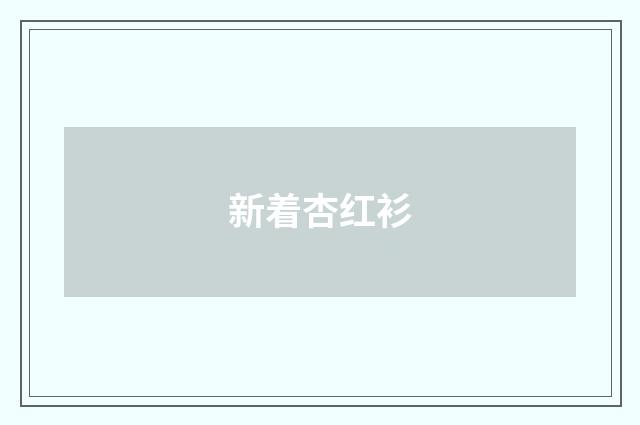 新着杏红衫