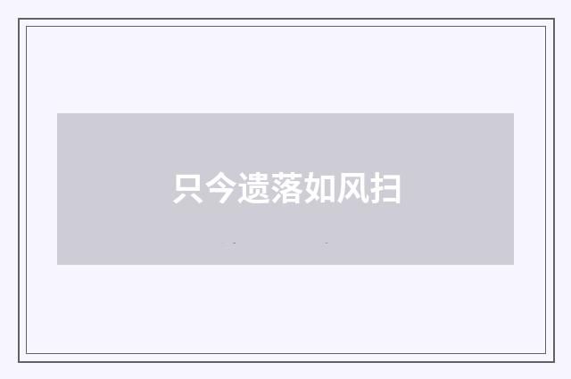 只今遗落如风扫