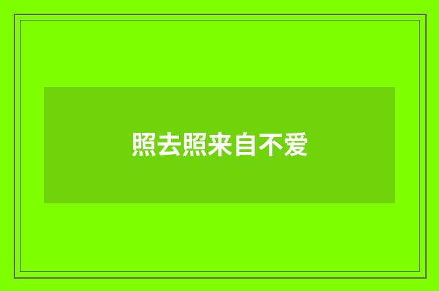 照去照来自不爱
