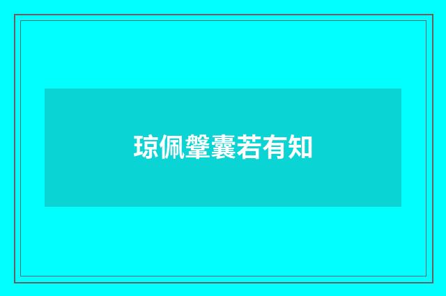 琼佩鞶囊若有知