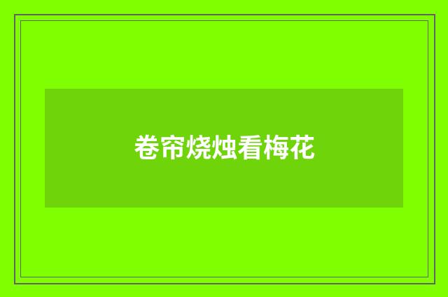 卷帘烧烛看梅花