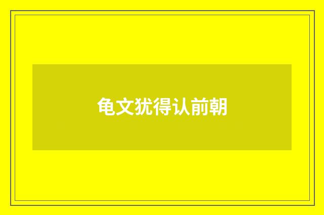 龟文犹得认前朝