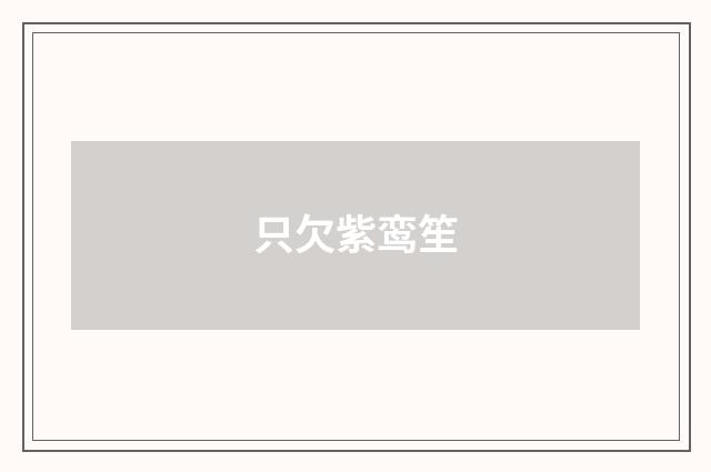 只欠紫鸾笙